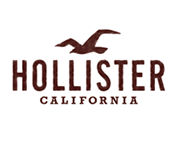 hollister-logo.png